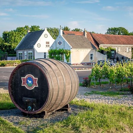 Wine-Barrel Rivaner Dreischor Zewnętrze zdjęcie