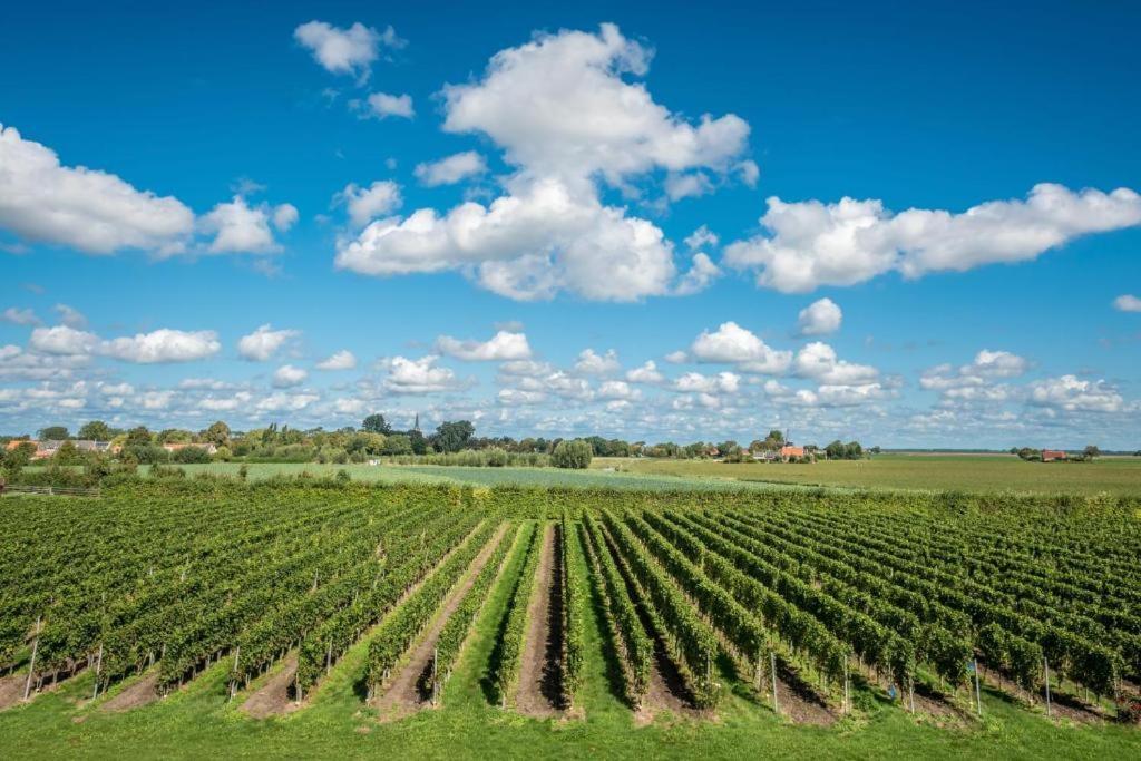Wine-Barrel Rivaner Dreischor Zewnętrze zdjęcie